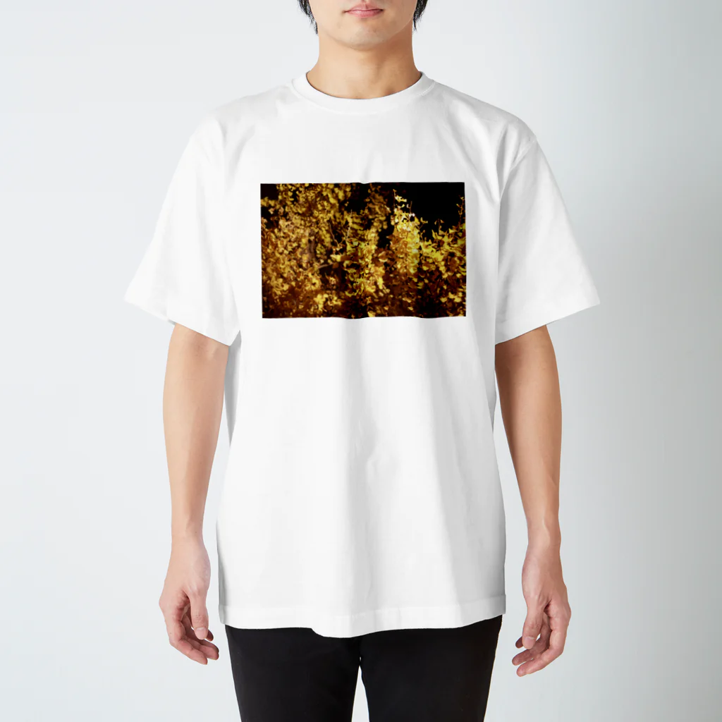 Pauliのきらきら世界“イチョウ” Regular Fit T-Shirt