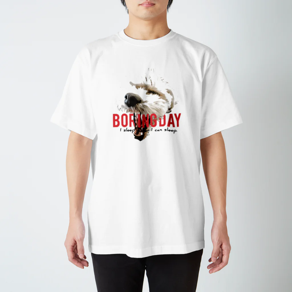 平井トモヒロ(ROUTE:Rocks vocal）のデザイン④Boring Day スタンダードTシャツ