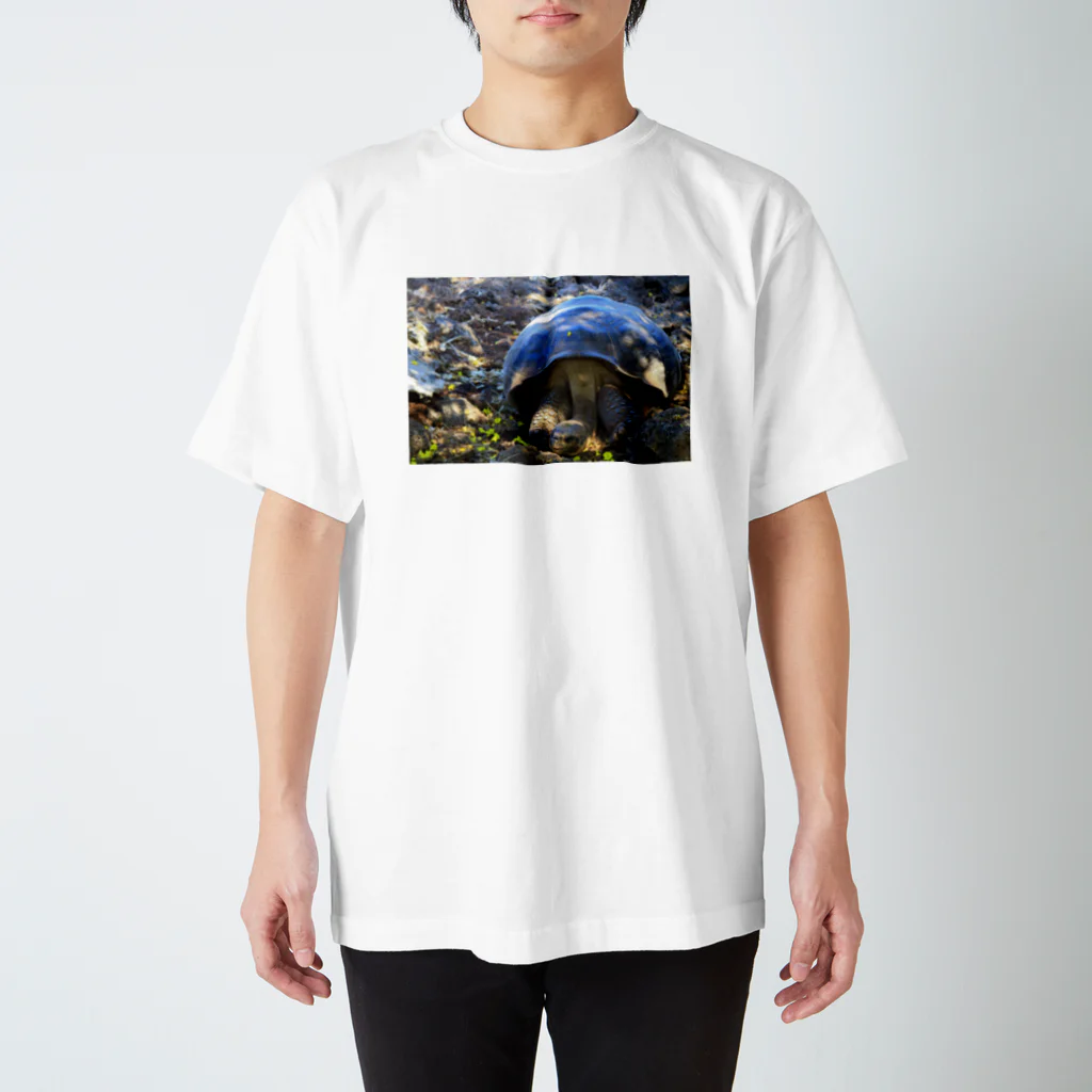 Watapikiのお昼寝カメさん Regular Fit T-Shirt