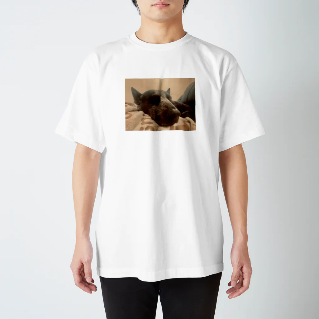 Pchan goodiesのSleepy dog  スタンダードTシャツ