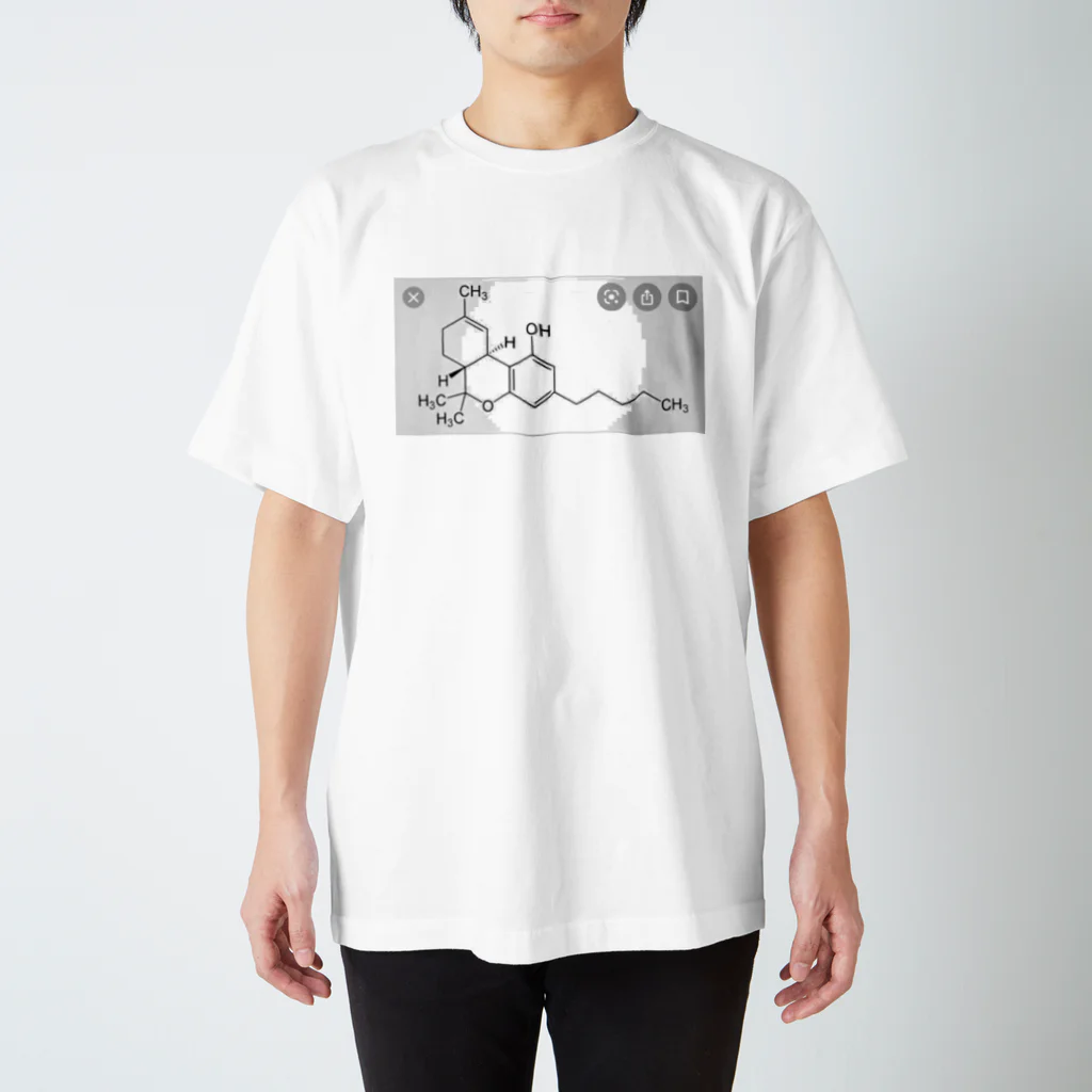 HEDONISMのTHC スタンダードTシャツ