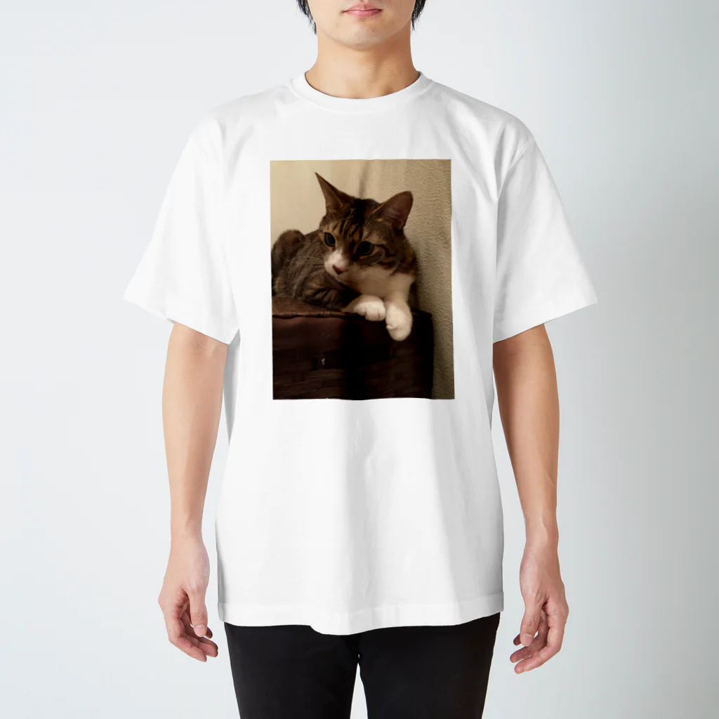 ねこまる広場のらいちくん Regular Fit T-Shirt