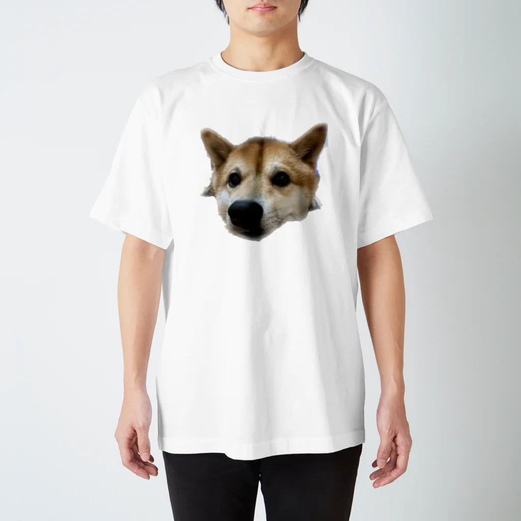 るーくとぱーちゃん🐈の散歩まだ？ スタンダードTシャツ