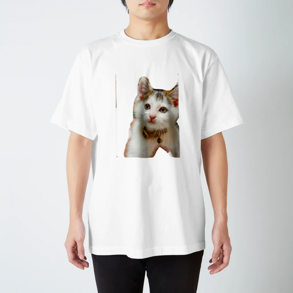 mucchinpurinの子猫 スタンダードTシャツ