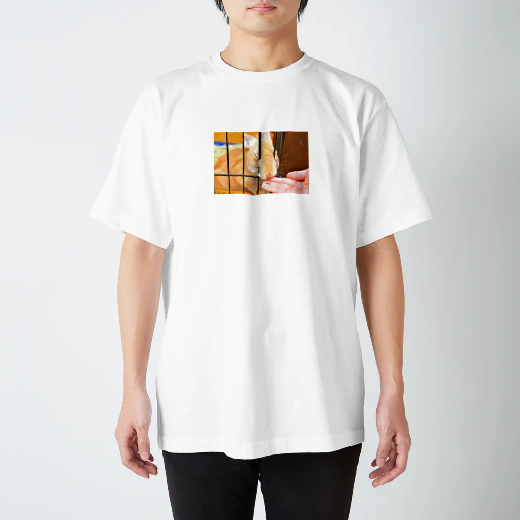 misiro_maichanのむぎゅー Regular Fit T-Shirt