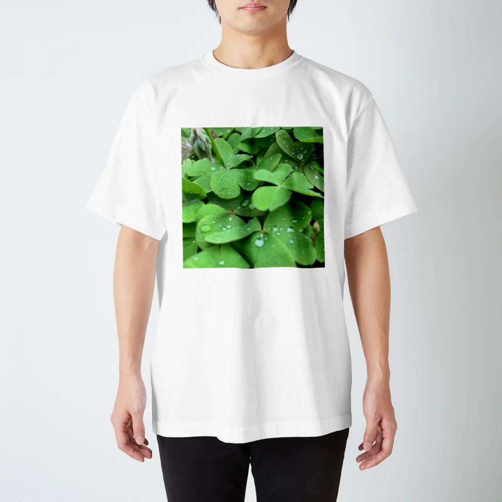 Mo.の🌿 Regular Fit T-Shirt