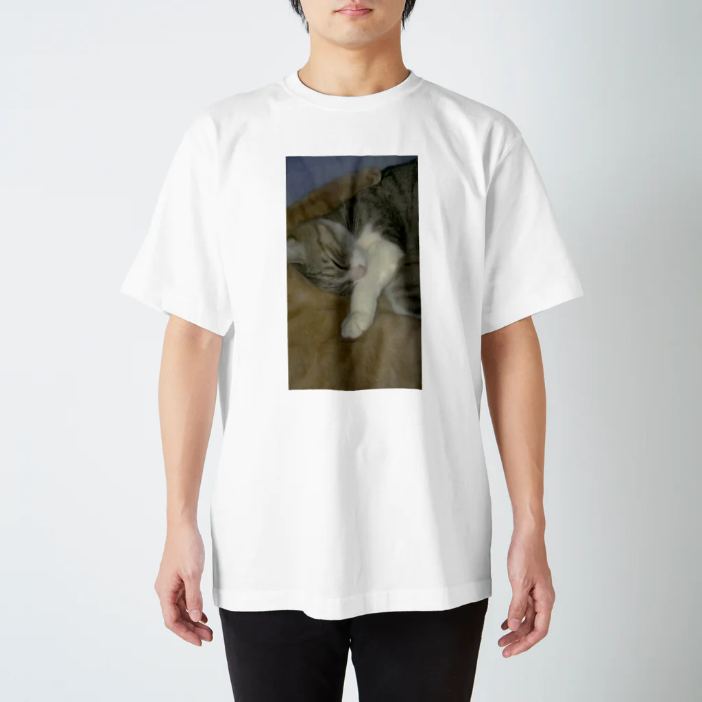 tomomi-covaのスヤスヤネコネコ Regular Fit T-Shirt