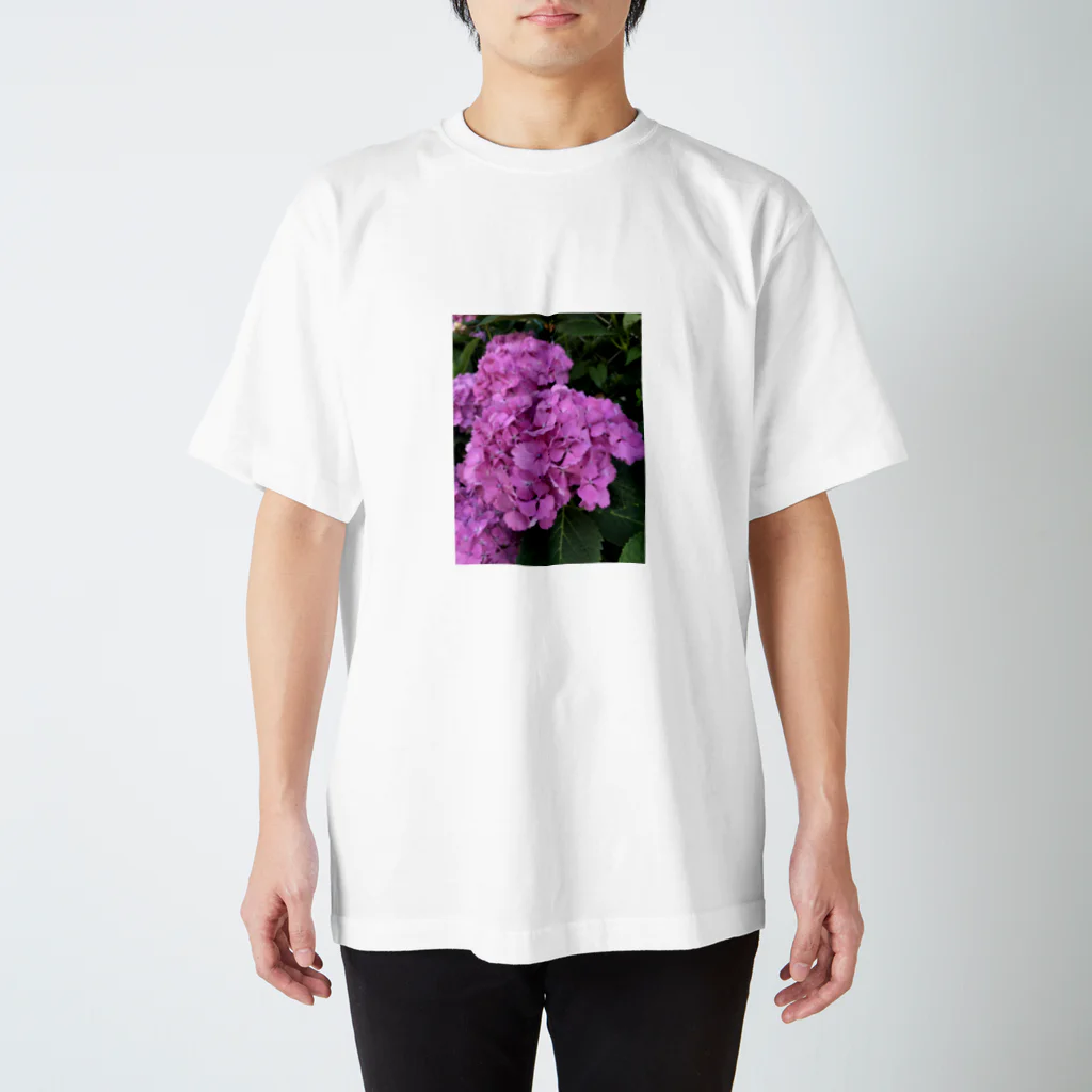 AbocadoのHydrangea スタンダードTシャツ