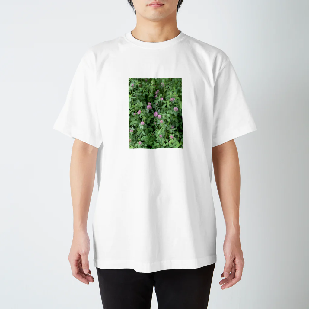 melody_springのクローバー　アカツメクサ スタンダードTシャツ