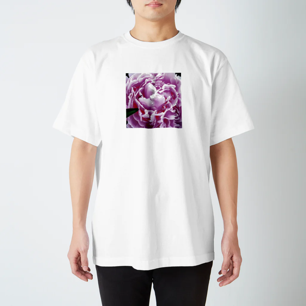 konikoniの芍薬と蟻 Regular Fit T-Shirt