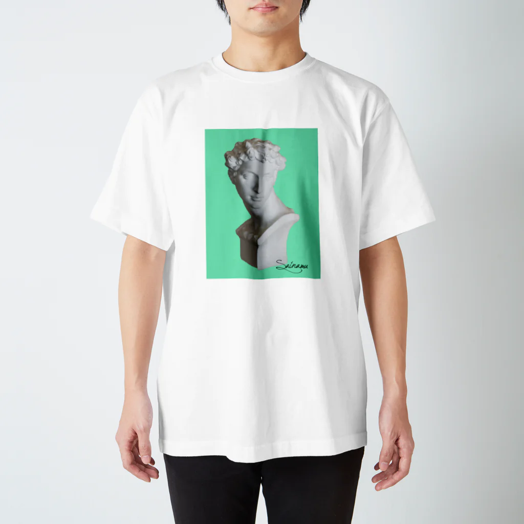 sainamu_shopのミントメディチ Regular Fit T-Shirt