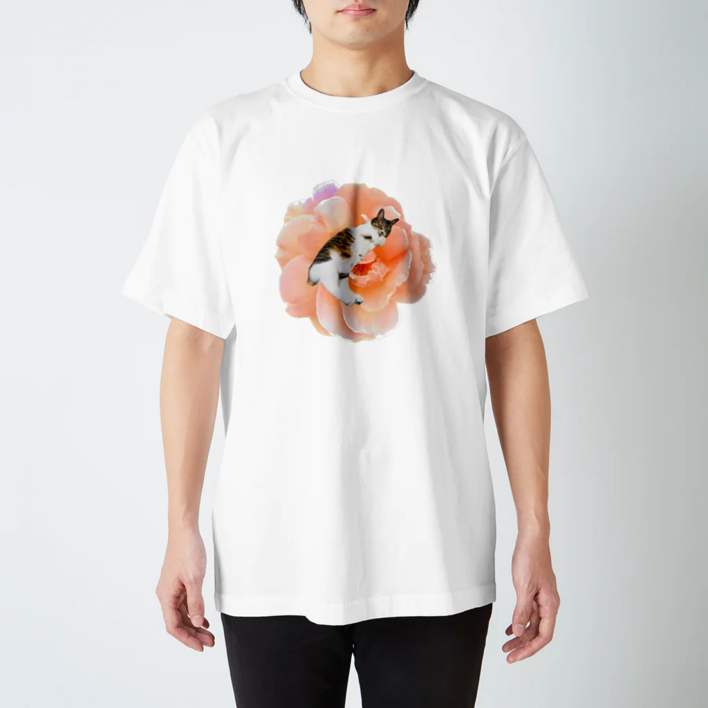 たんぽぽさんのいやし花ねこ Regular Fit T-Shirt