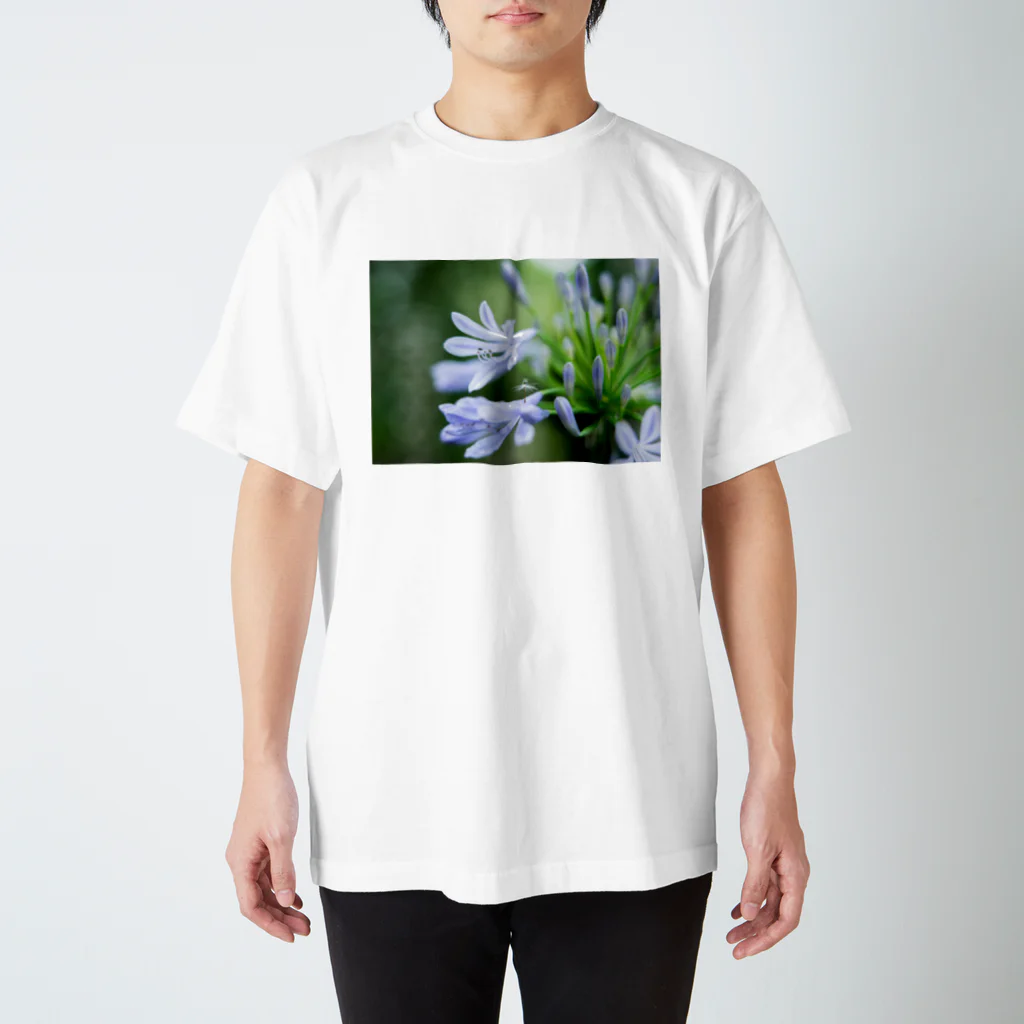 PhotoAtelier AileのAngel of Agapanthus 170702 Regular Fit T-Shirt