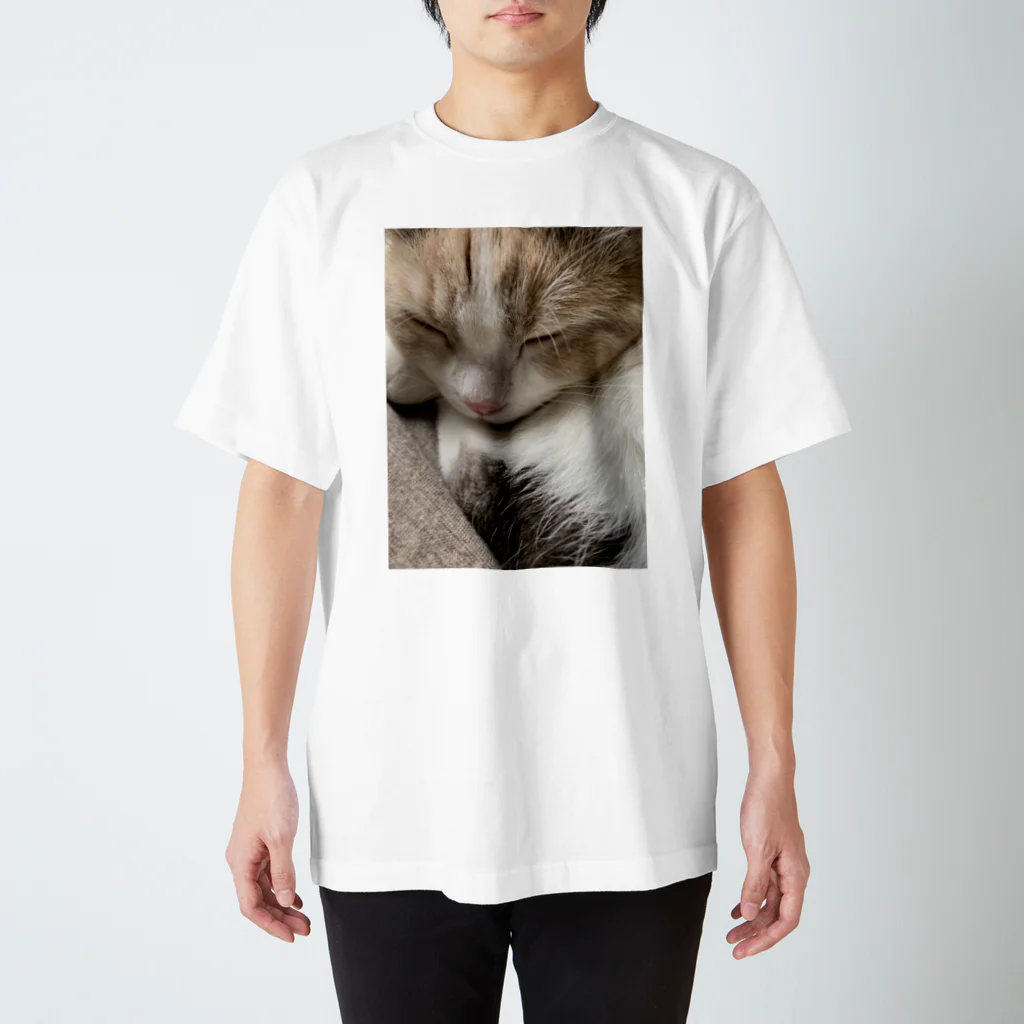 cocorobinのココ猫 スタンダードTシャツ