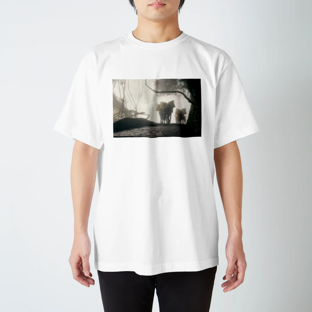 Watapikiの霧に包まれた秘境 Regular Fit T-Shirt