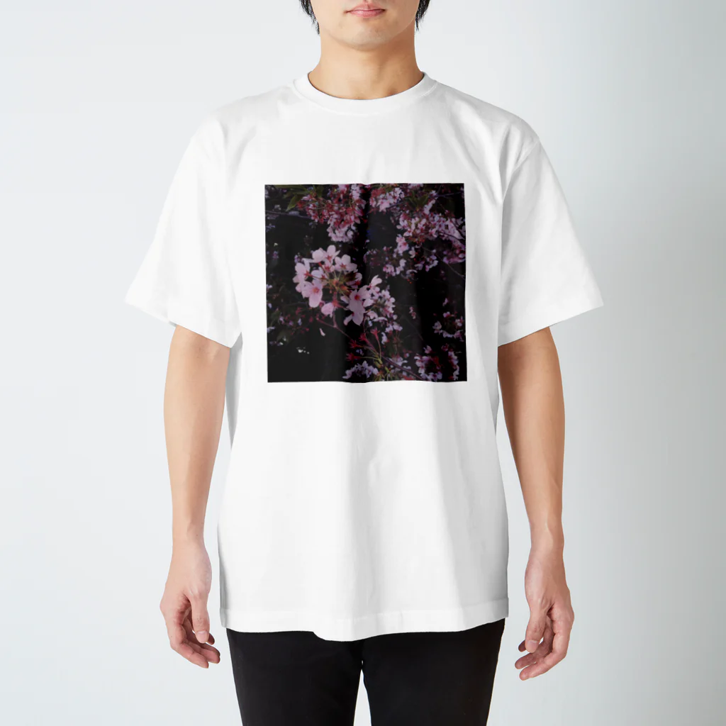 Bearsのさくら　Cherry Blossoms Regular Fit T-Shirt