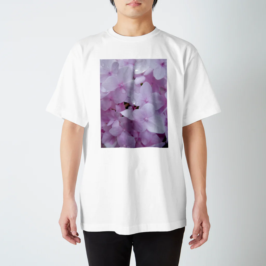 写真屋とーかのピンクの紫陽花。 スタンダードTシャツ