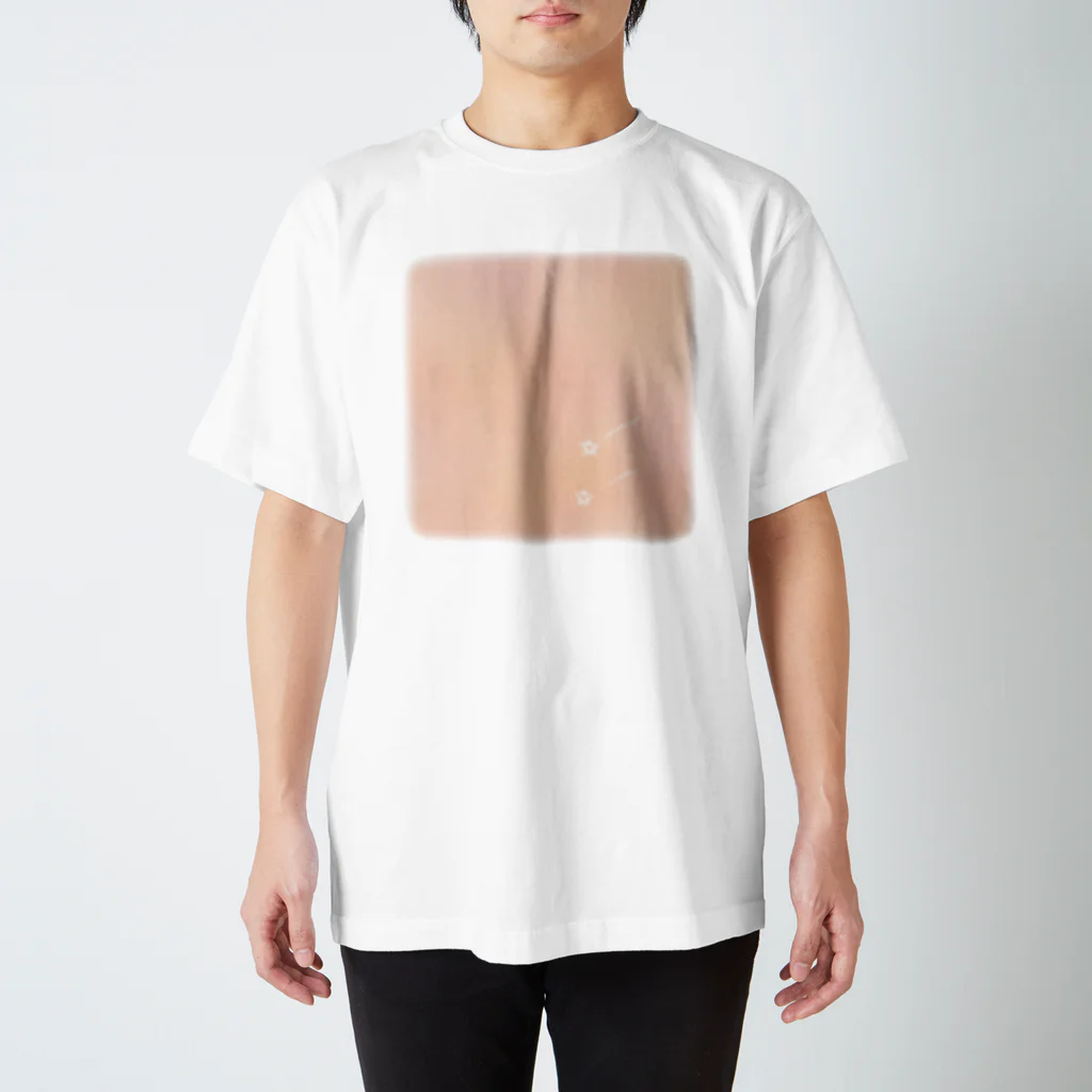 通り道の願いごと Regular Fit T-Shirt