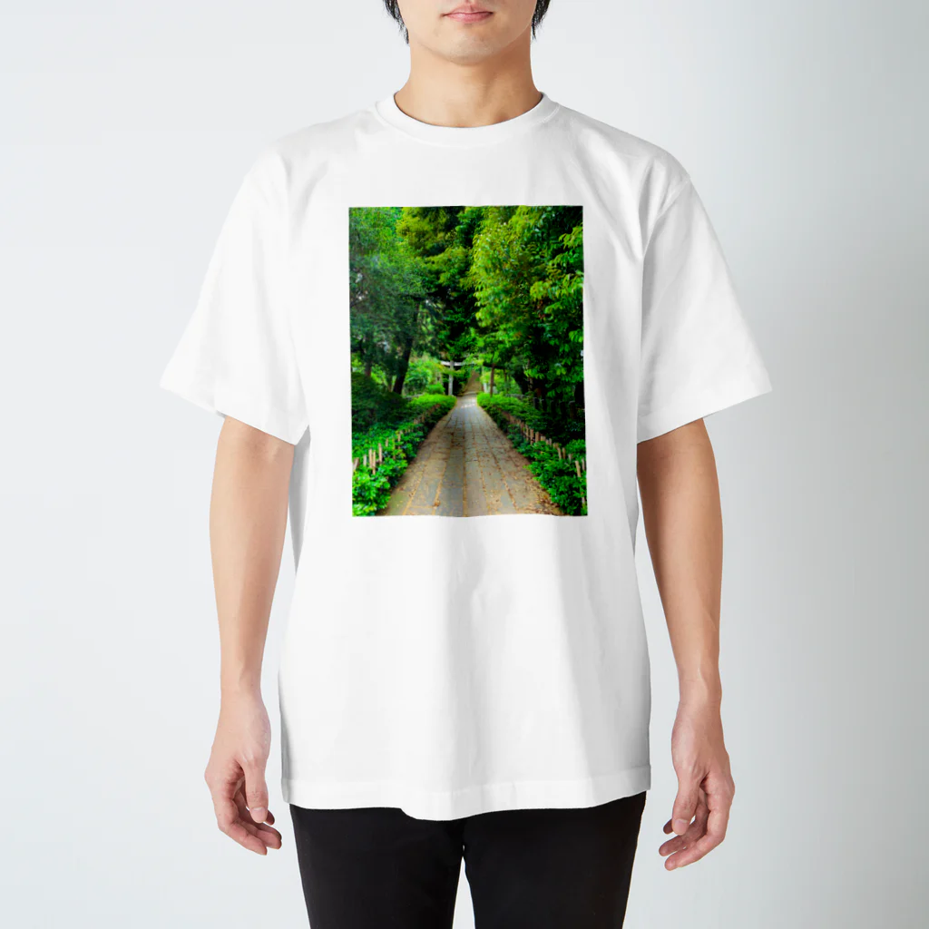 日本風景と自然風景の緑と鳥居 スタンダードTシャツ