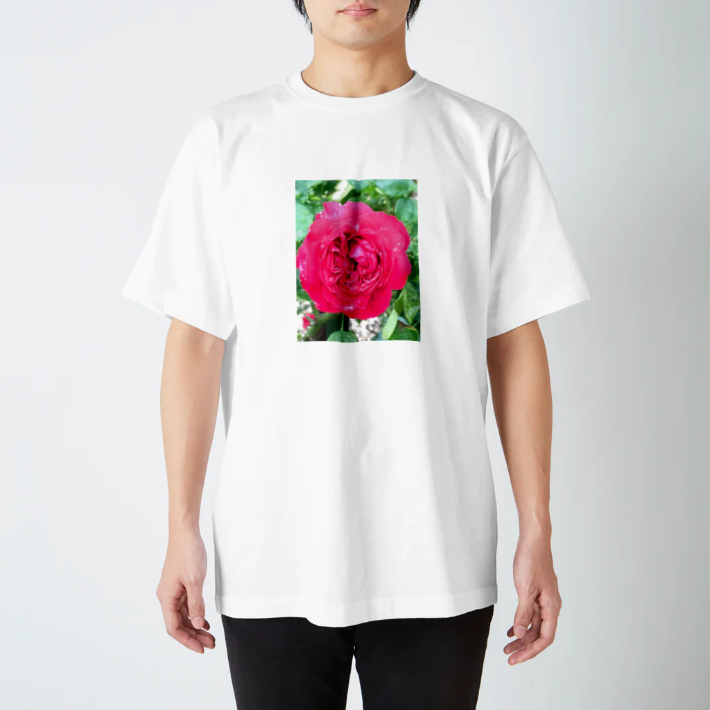 そとのショップの雨の日の薔薇 スタンダードTシャツ