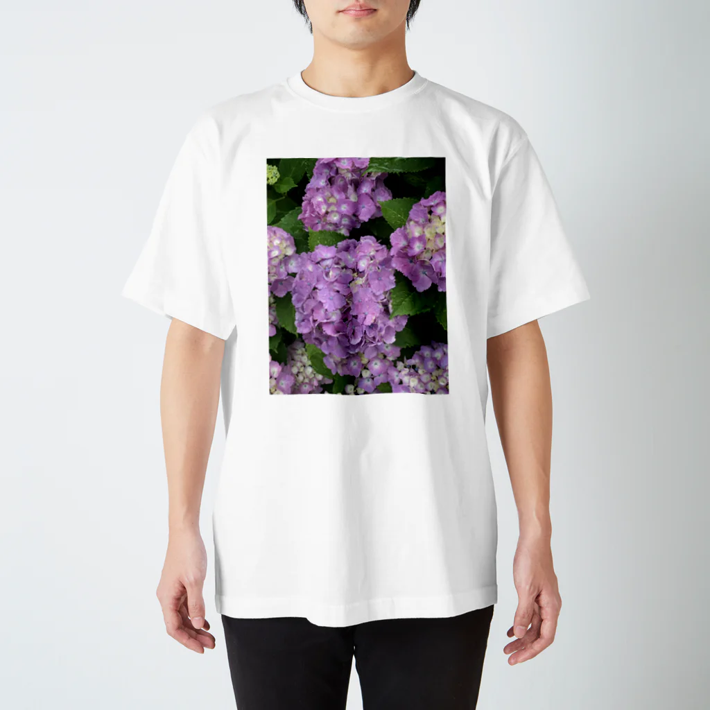 そとのショップの紫陽花II スタンダードTシャツ