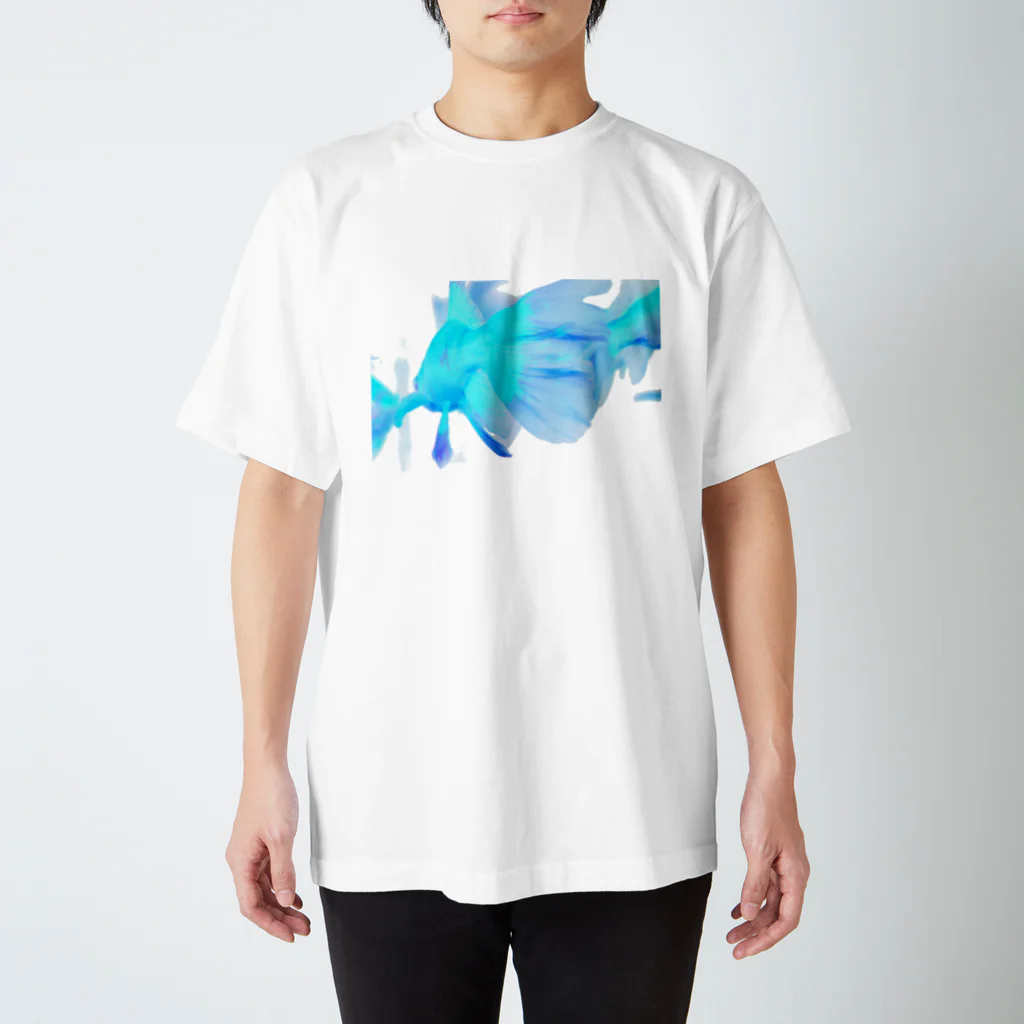 鳴八屋の金魚-02 Regular Fit T-Shirt