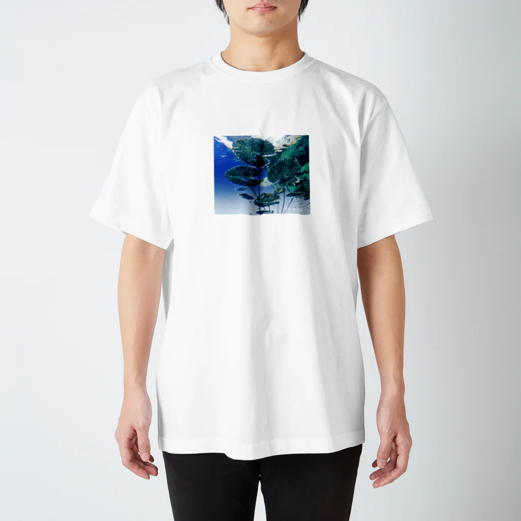 メロン味が食べたいのAquatic plants スタンダードTシャツ