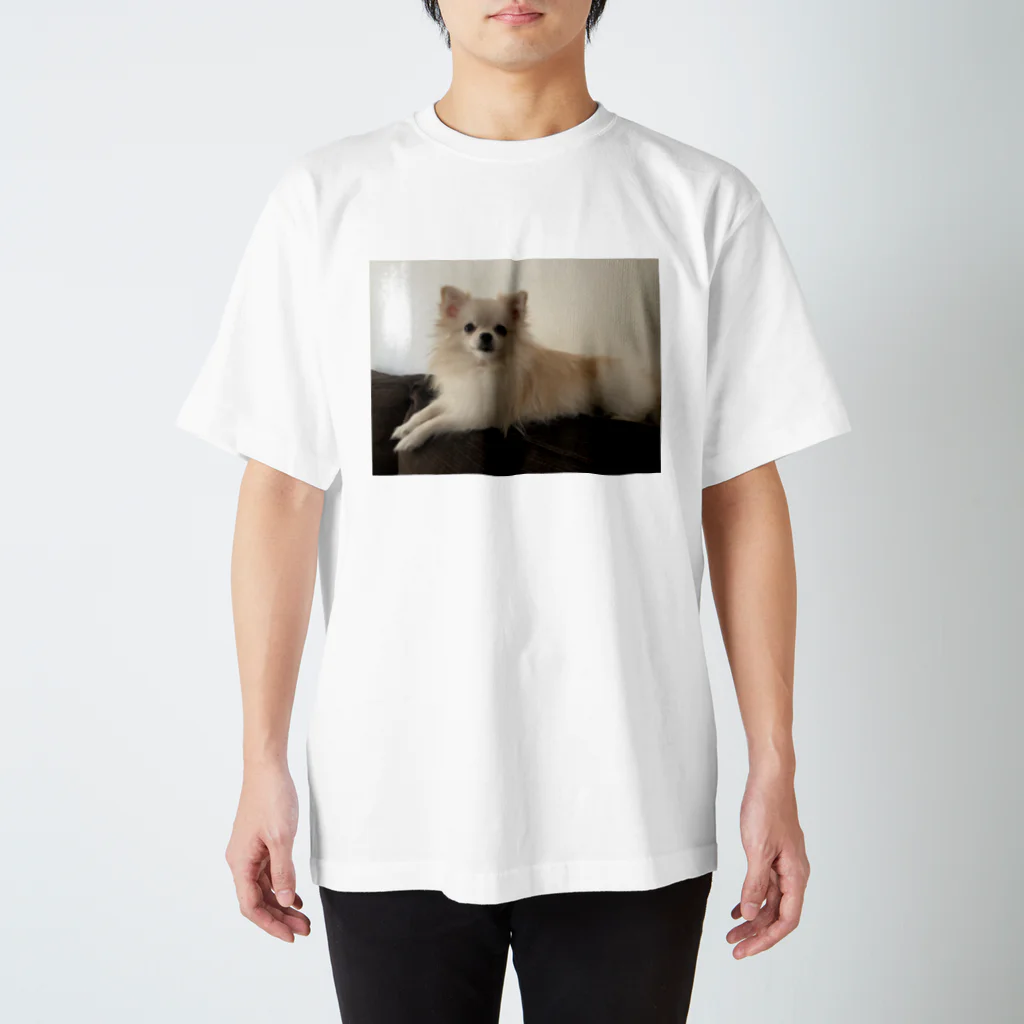 Pomeraniansのスンとするポワル スタンダードTシャツ