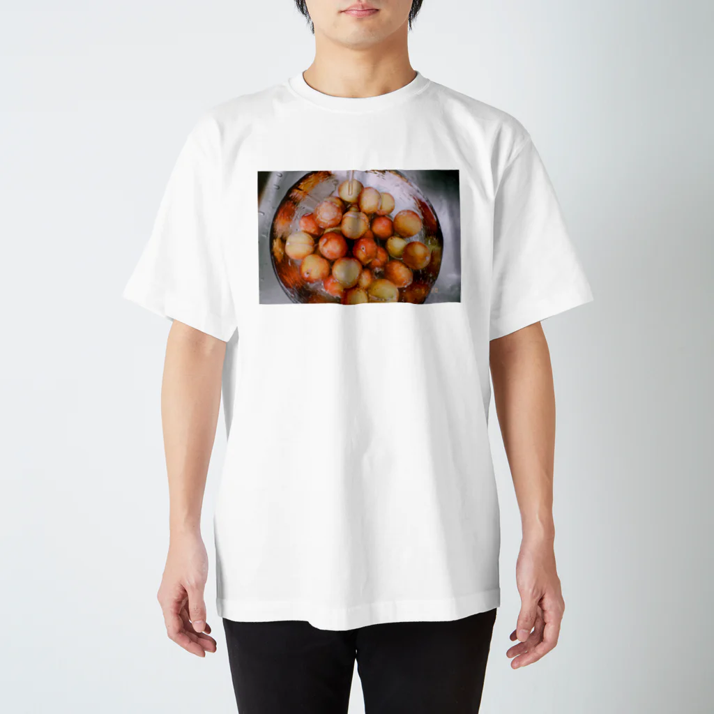 umaのプラム　洗う Regular Fit T-Shirt