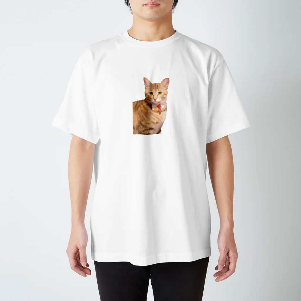 蛍遺 ( ˘꒳˘ )ケ・セラ・セラのネクタイ猫 スタンダードTシャツ