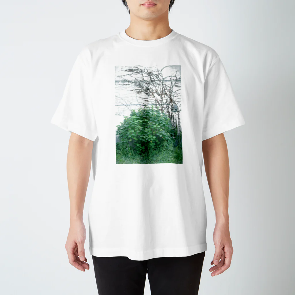 abstractのつたのかべ Regular Fit T-Shirt