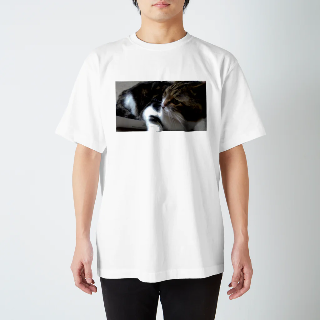 ◕きのなつぴ Regular Fit T-Shirt