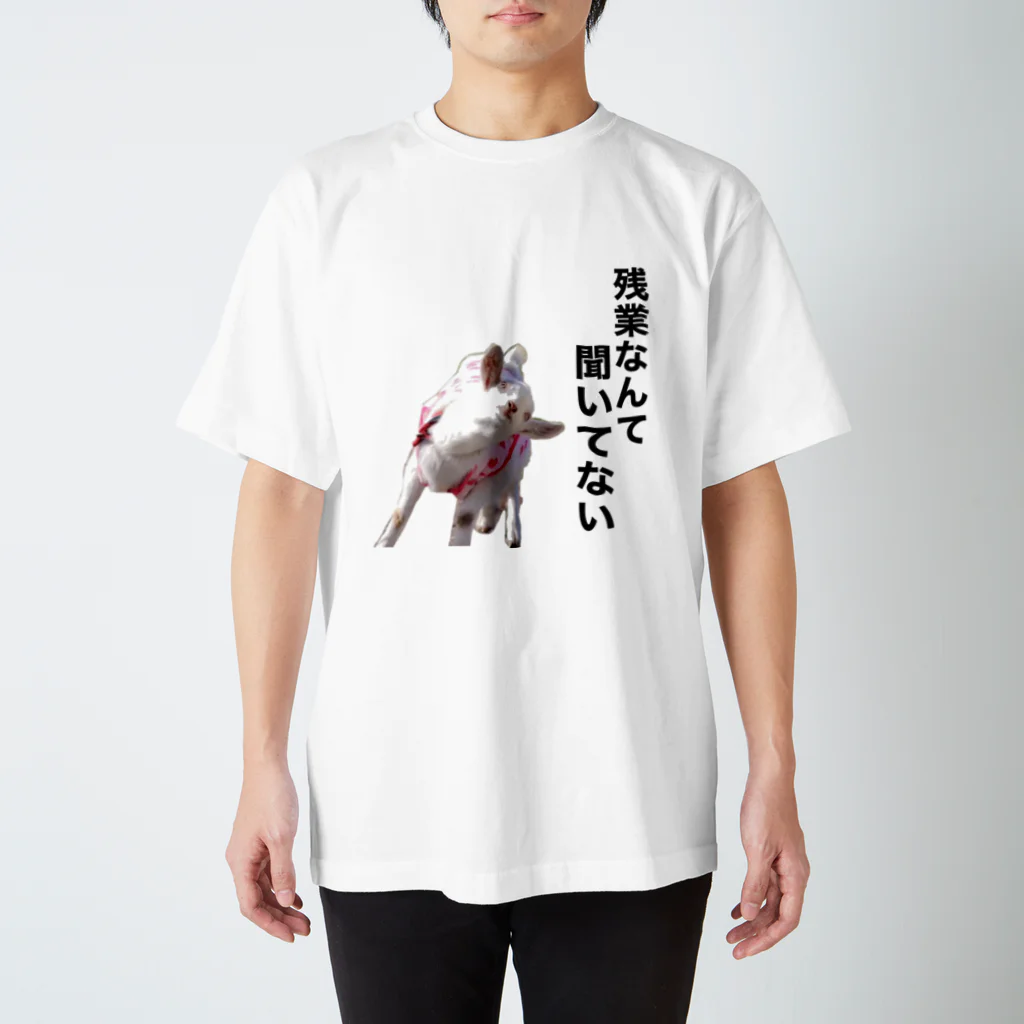 せっちゃんの帰りたいKAGOME Regular Fit T-Shirt