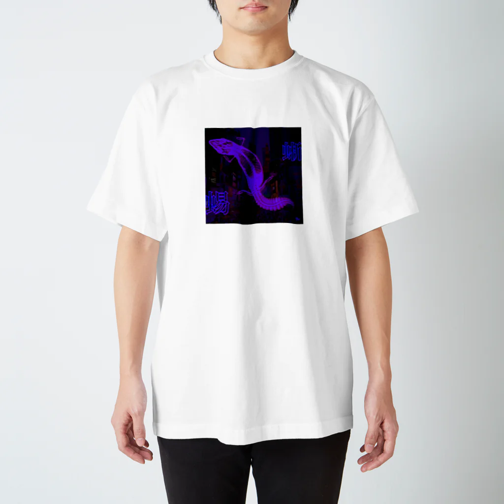IBISCHAOS/アイビスカオスの蜉蝣 Regular Fit T-Shirt