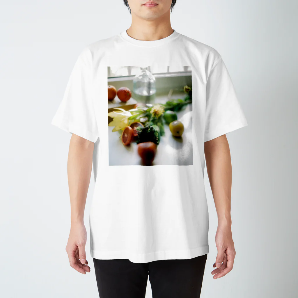 karinkameraのbfs art - fruits Regular Fit T-Shirt