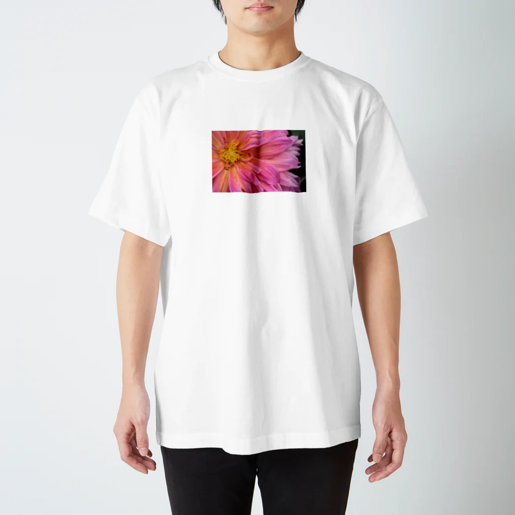 flower_basketのピンクの花 スタンダードTシャツ