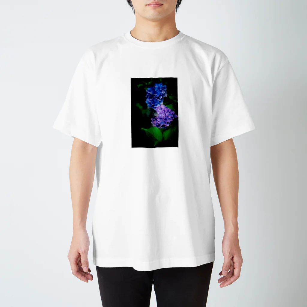 Photographer non.'s shopの紫陽花とクロアゲハ スタンダードTシャツ