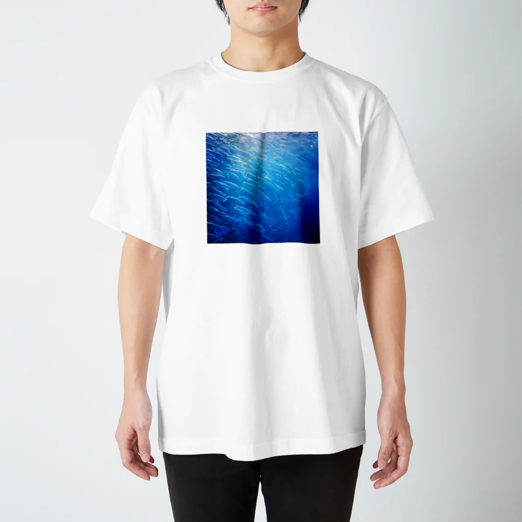 POP&Photoのsardine tornado photo スタンダードTシャツ