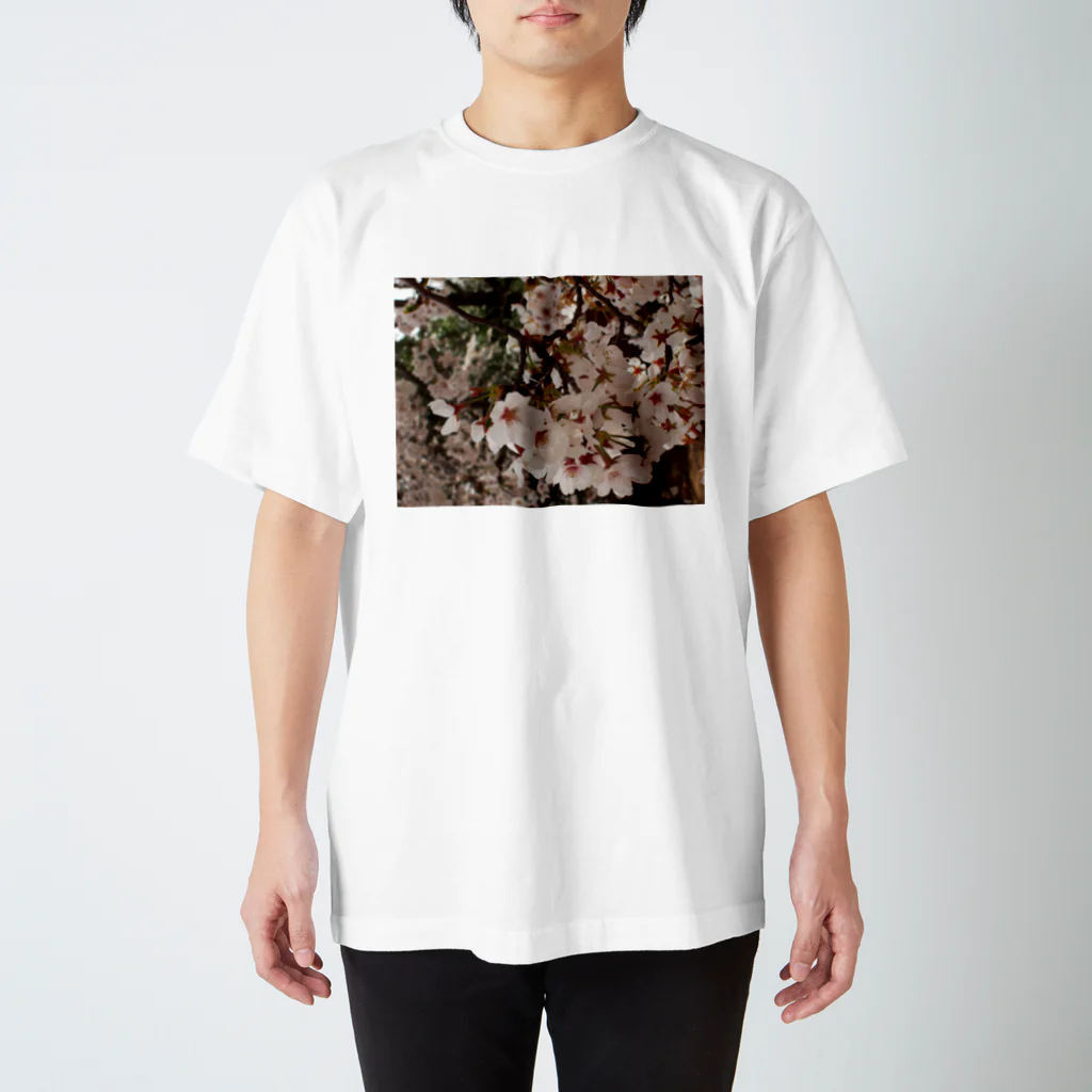 hiroki-naraの桜　サクラ　cherry blossom DATA_P_152　春　spring スタンダードTシャツ