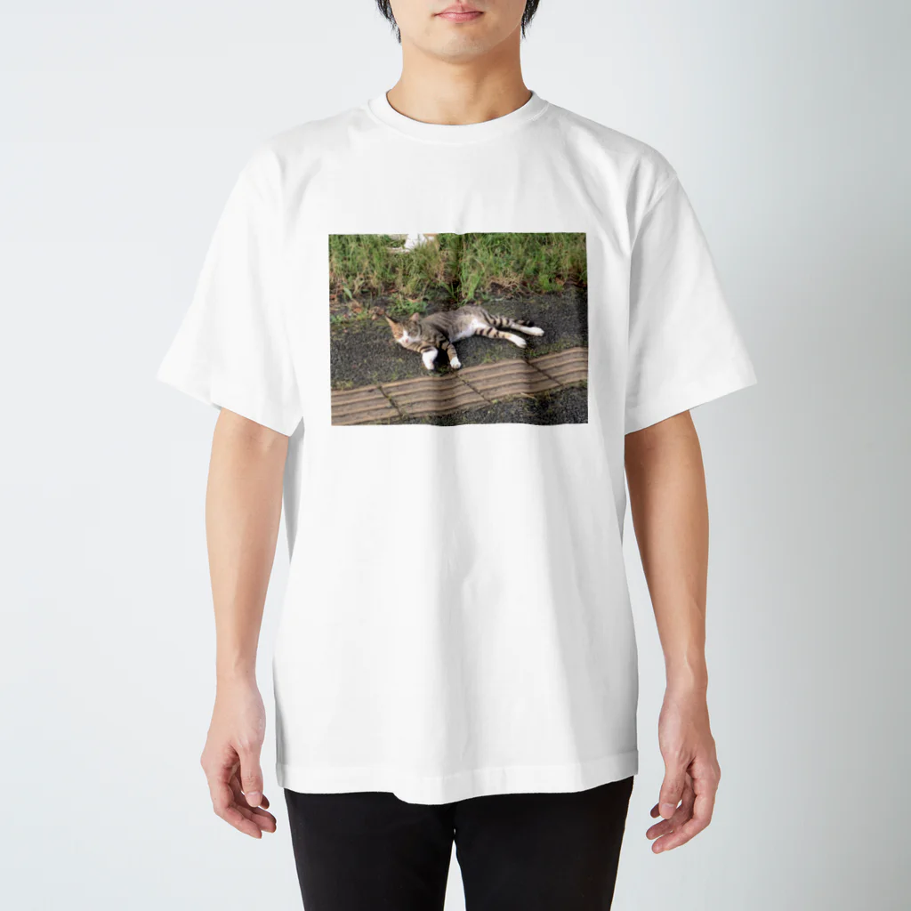 はるんけあの野良猫 feat. 荒川の河川敷 in 赤羽 スタンダードTシャツ