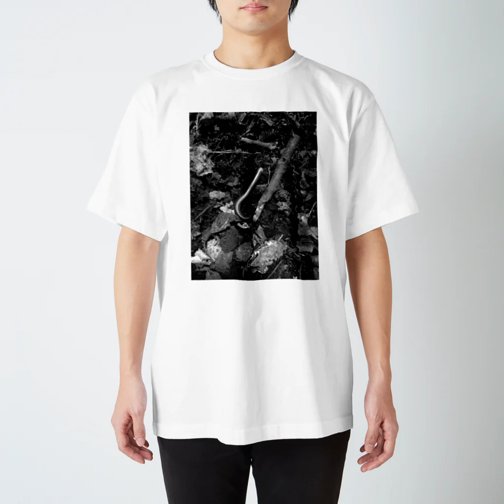 アトリエヱキパの分解者 Regular Fit T-Shirt