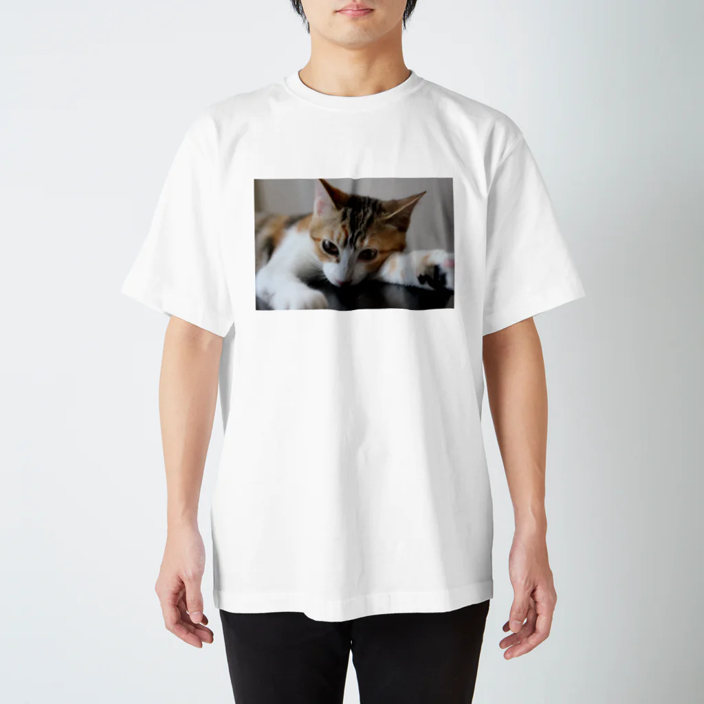 猫森トモミの三毛猫ネネ スタンダードTシャツ