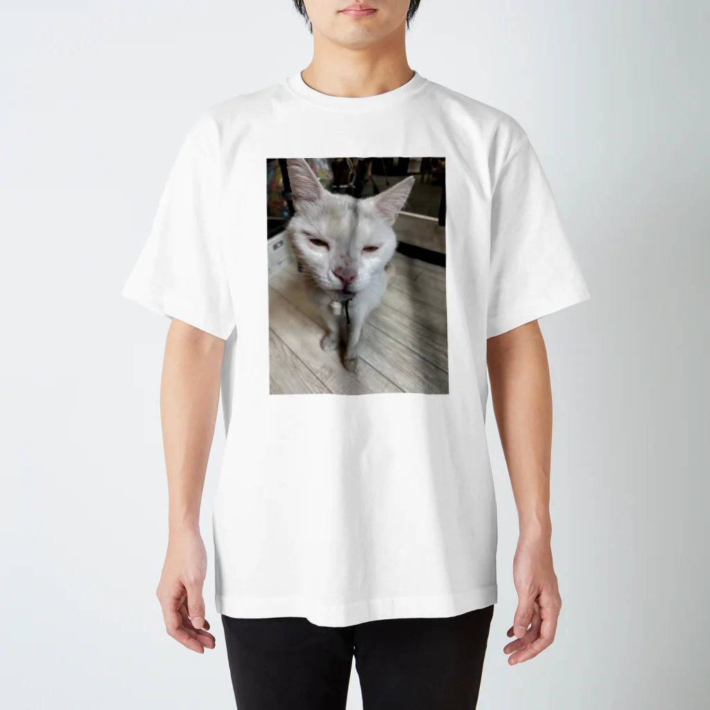 monogenicのNeko Regular Fit T-Shirt