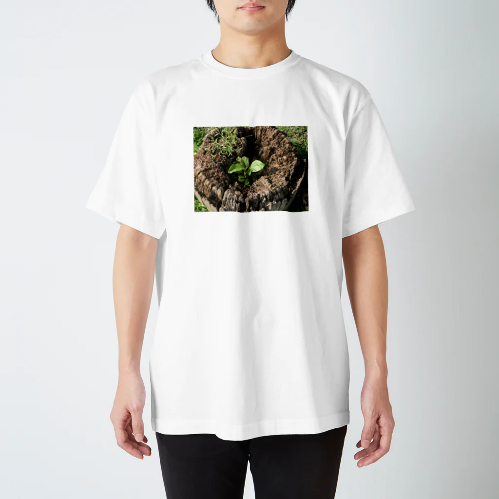 natural houseのReborn スタンダードTシャツ