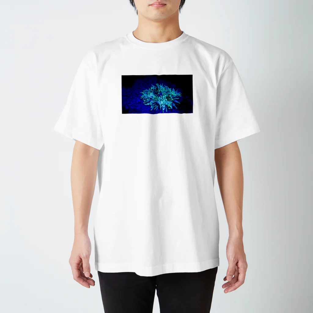 主に文と写真のフローダイビング(イソギンチャク) スタンダードTシャツ