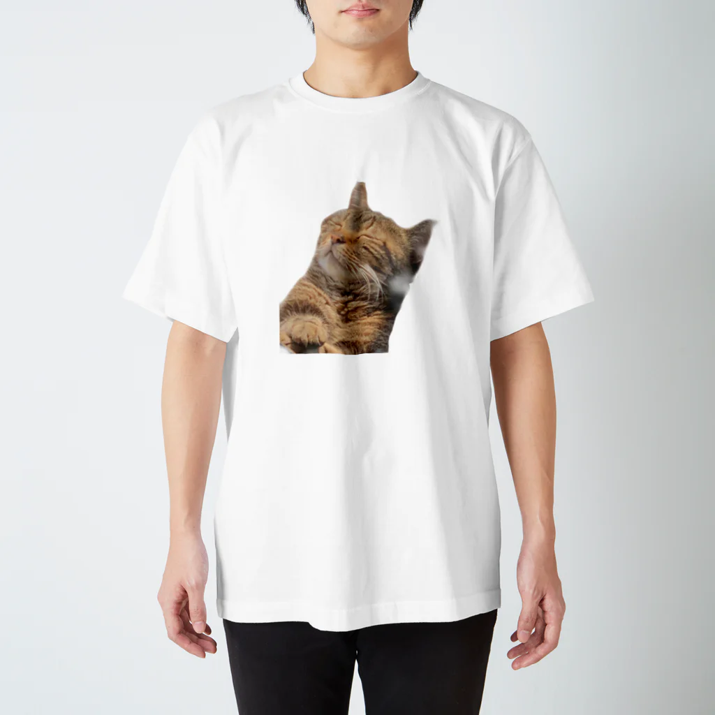 nasu5959のねこねこ スタンダードTシャツ