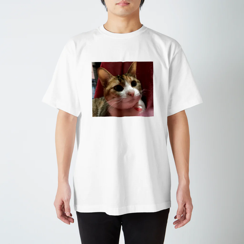 ほぼひめ。の三毛猫のひめ　8 スタンダードTシャツ