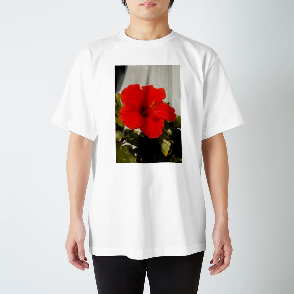 w_yutaka_wのHibisus スタンダードTシャツ