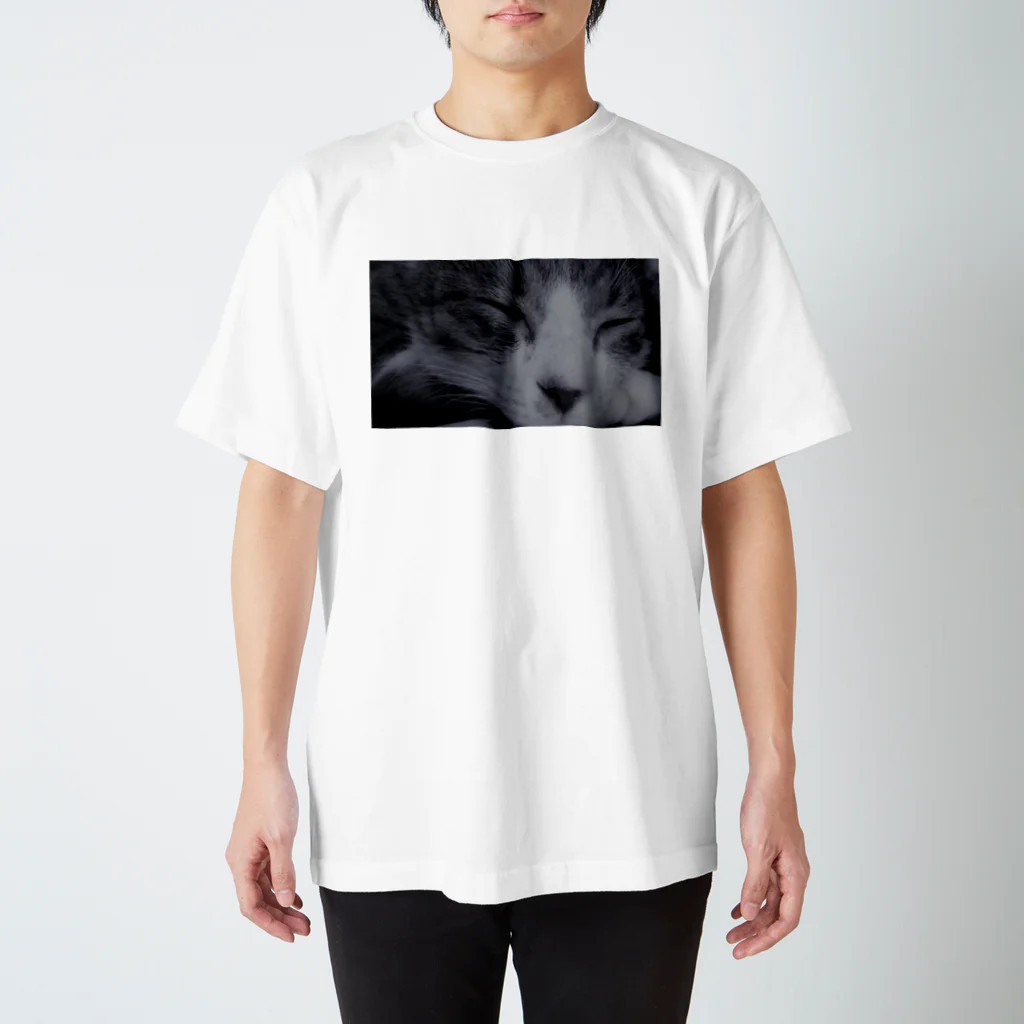 ofu_1010のお眠り猫2 Regular Fit T-Shirt