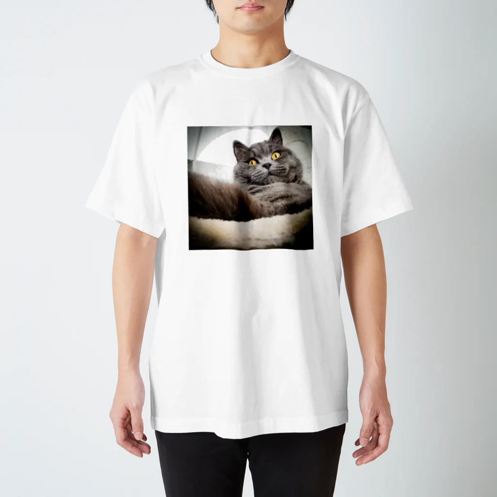 KARINのむふん顔の LUKE Regular Fit T-Shirt